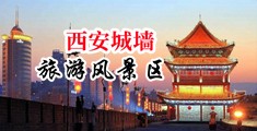 www.操逼高清中国陕西-西安城墙旅游风景区